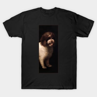 Water Spaniel by George Stubbs T-Shirt